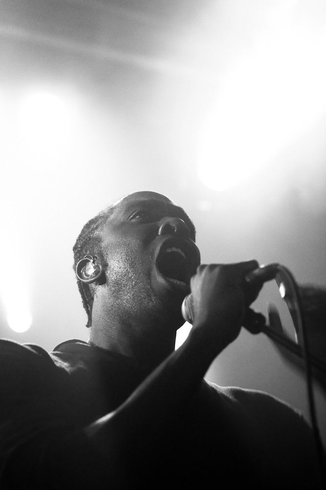 kele (3)