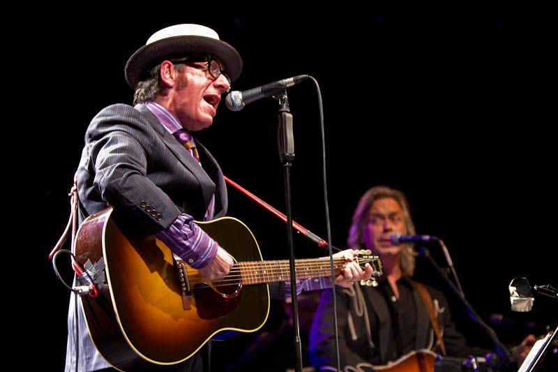 Elvis Costello