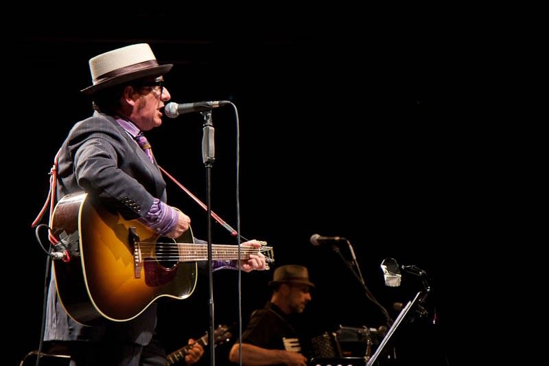 Elvis Costello