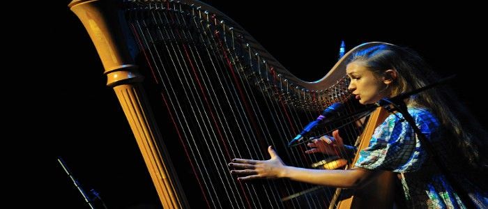 Joanna Newsom Feature