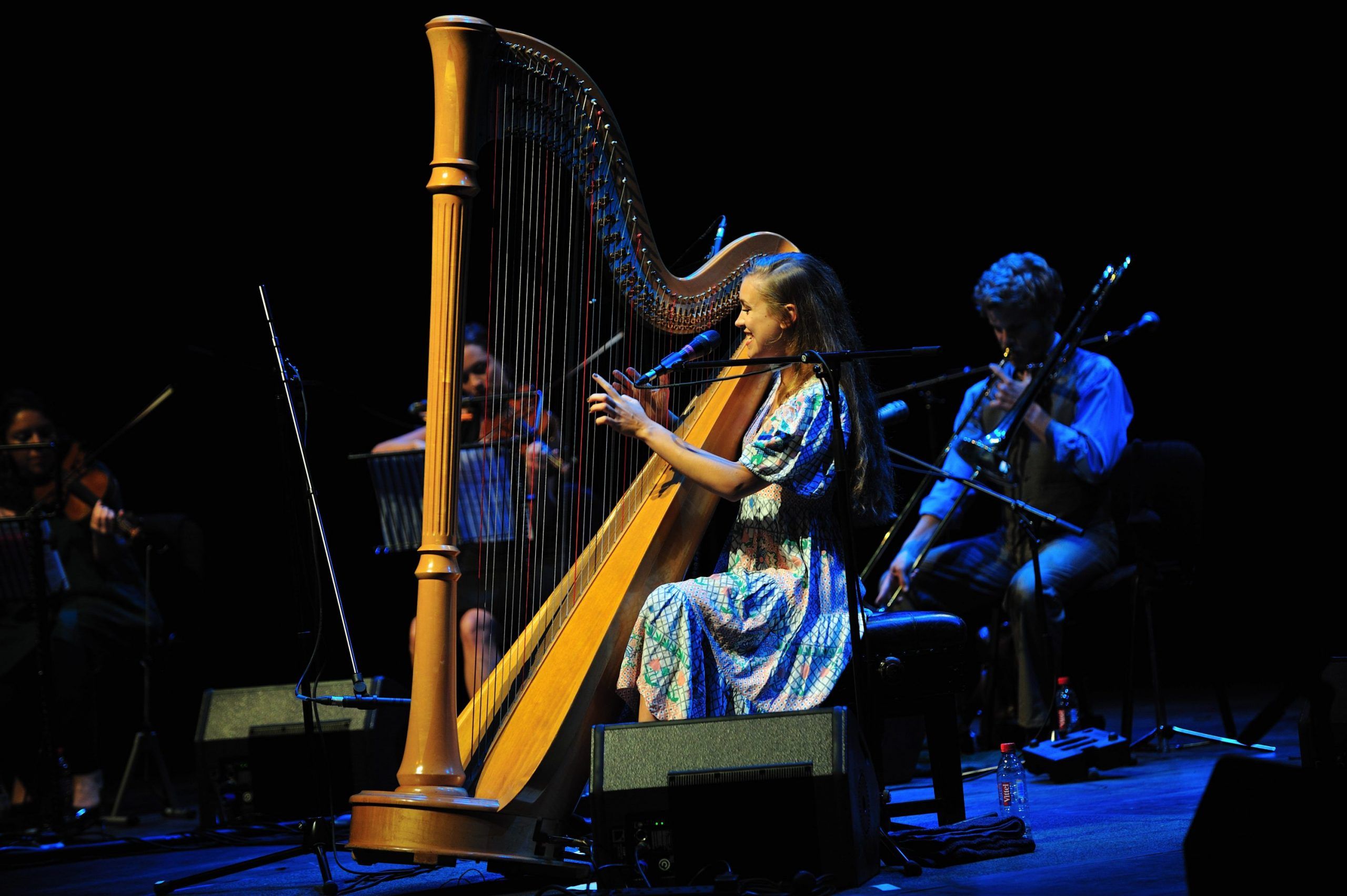 Joanna Newsom at The Grand Canal Theatre September 14th 2010 (10)