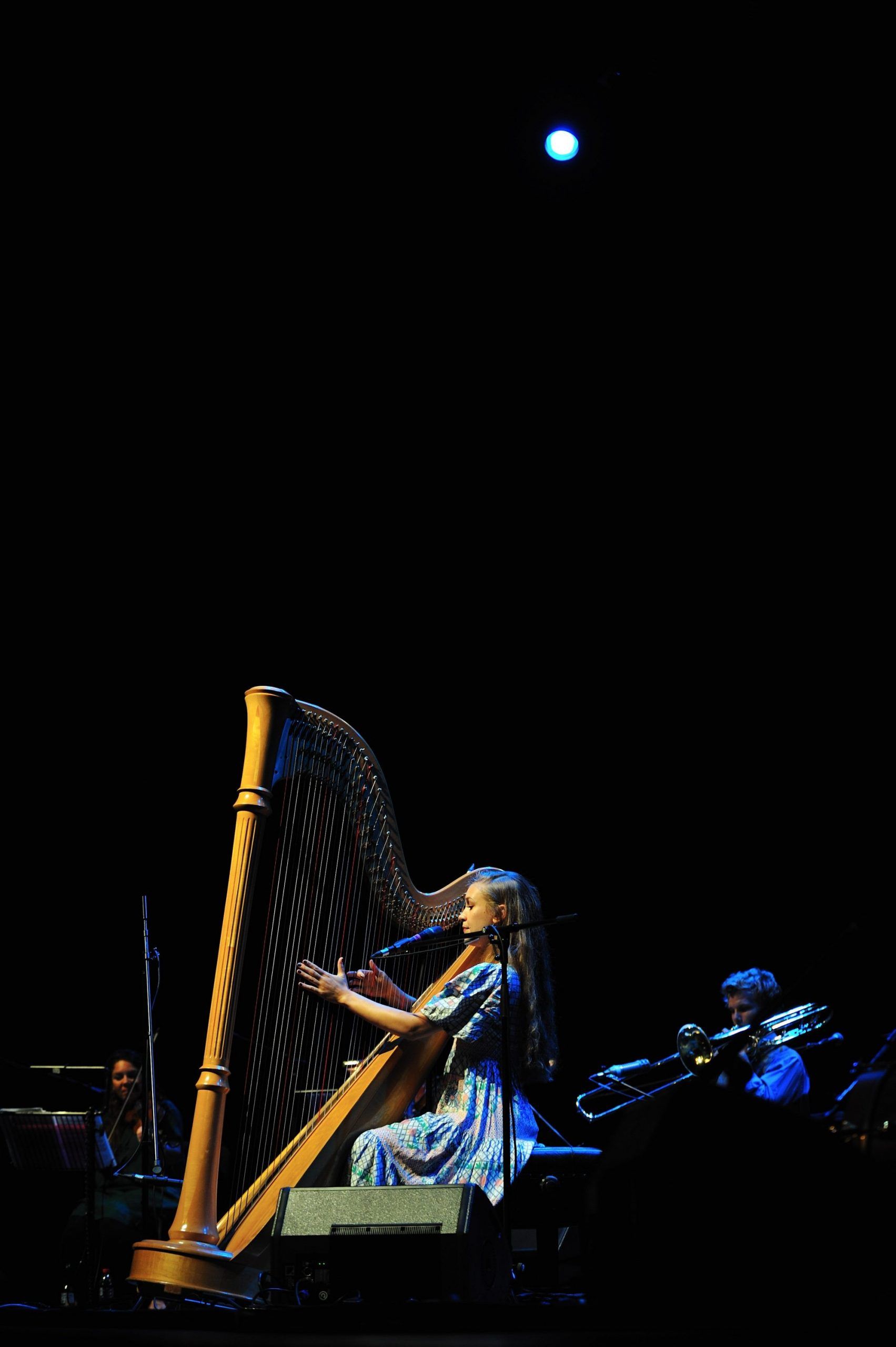 Joanna Newsom at The Grand Canal Theatre September 14th 2010 (11)