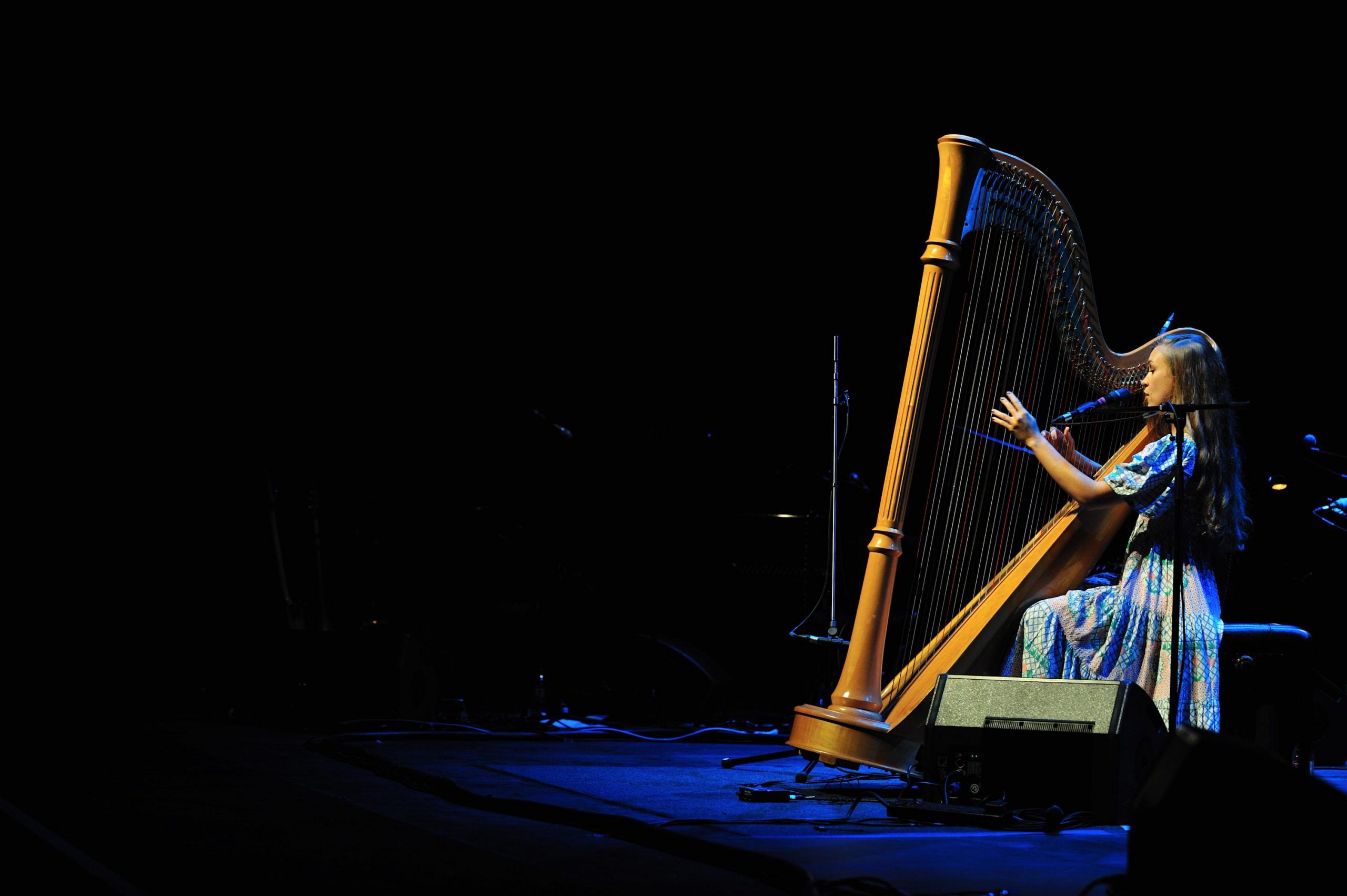 Joanna Newsom at The Grand Canal Theatre September 14th 2010 (5)