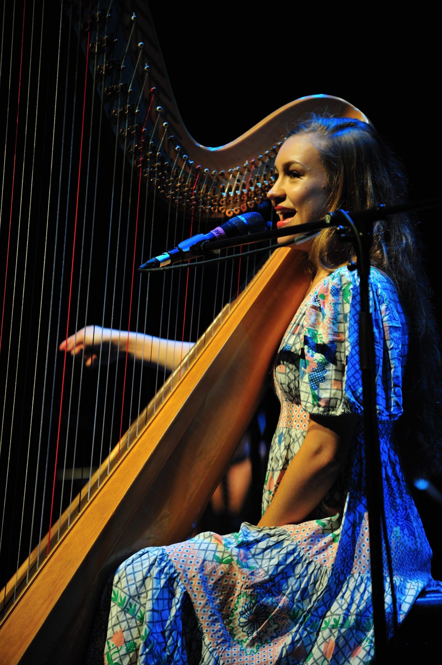 Joanna Newsom at The Grand Canal Theatre September 14th 2010 (6)