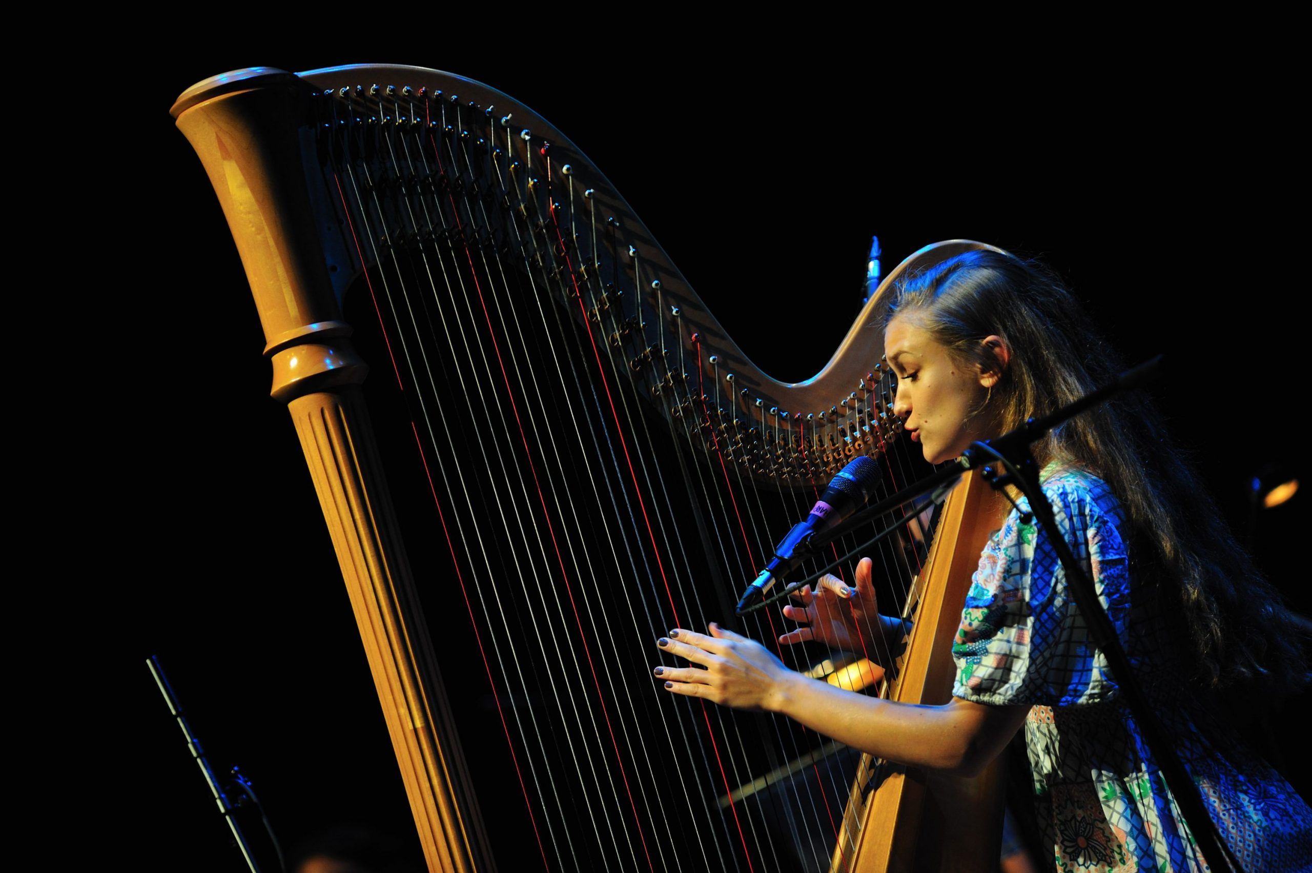 Joanna Newsom at The Grand Canal Theatre September 14th 2010 (8)