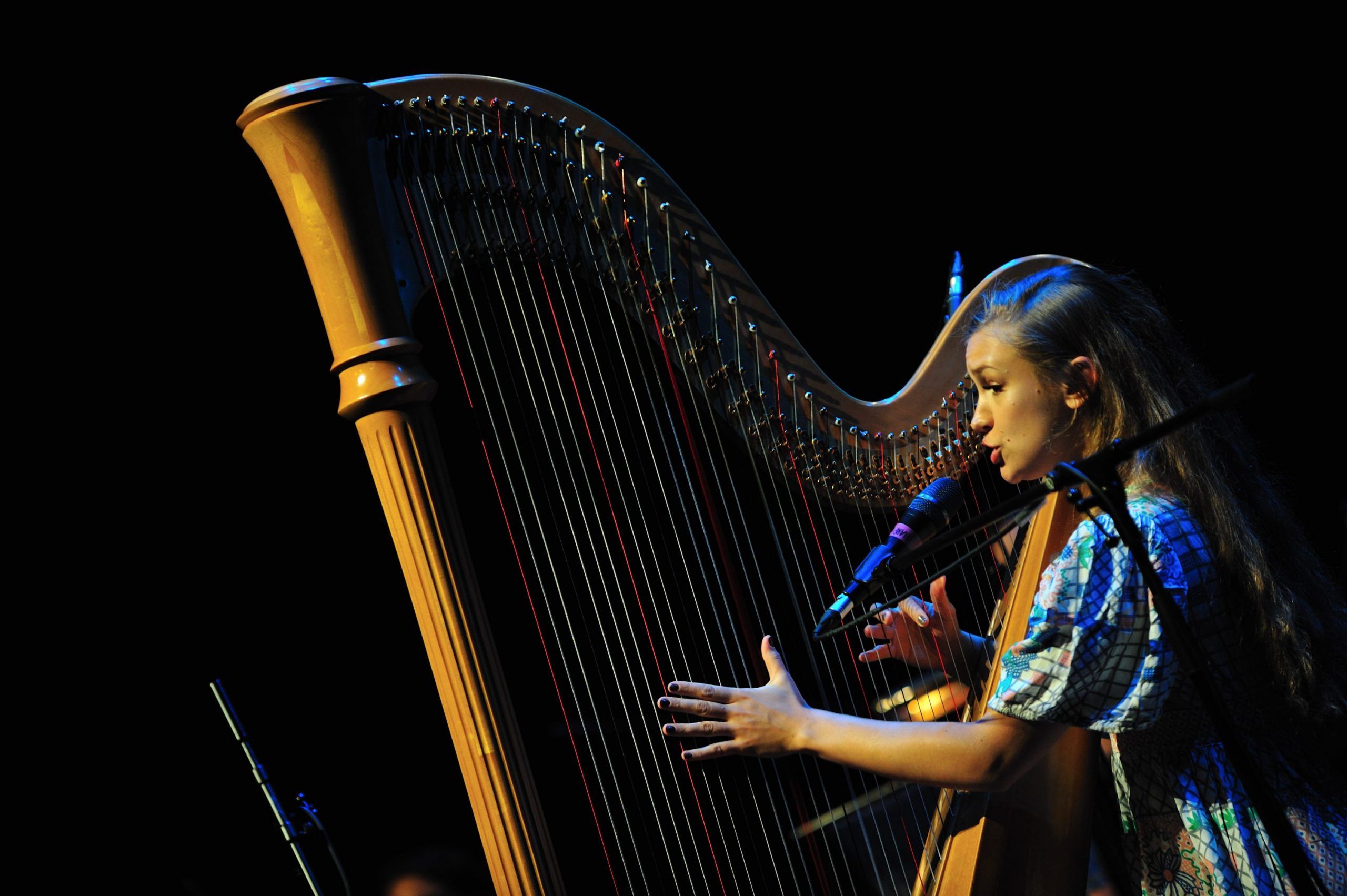 Joanna Newsom at The Grand Canal Theatre September 14th 2010 (9)
