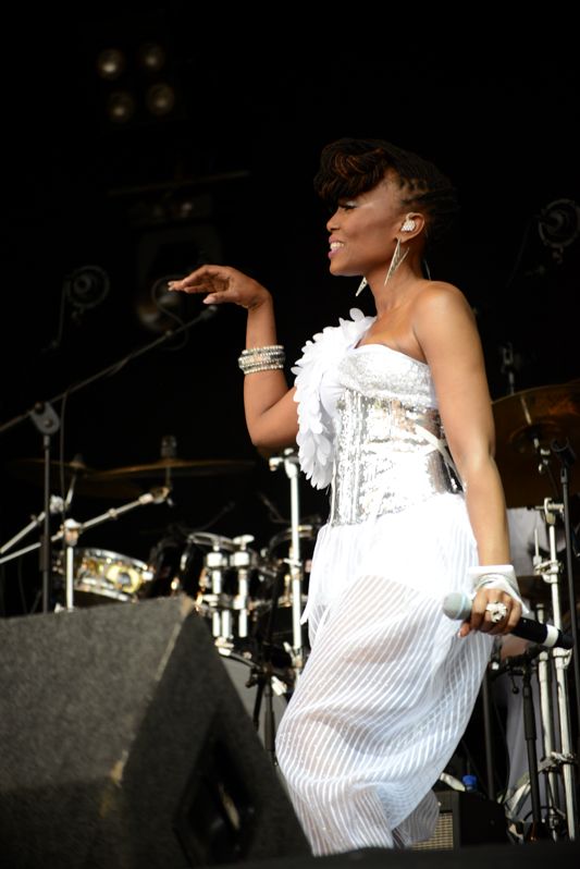 Chic at Forbidden Fruit on 2nd June 2013-1-20
