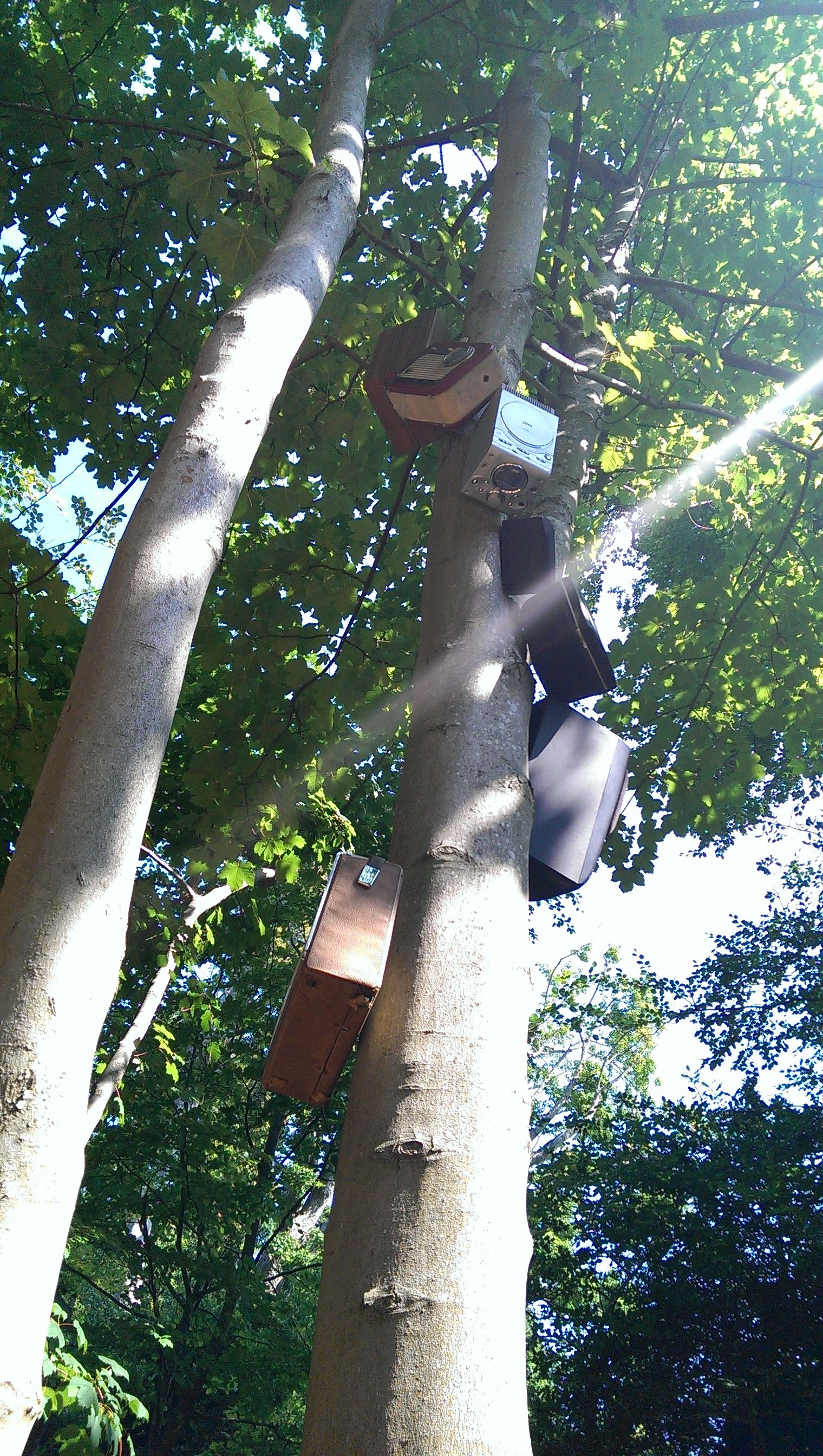 Longitude 2013 Red Bull Music Arena Speaker In Trees