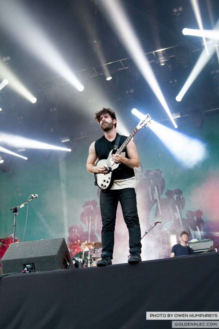 Foals