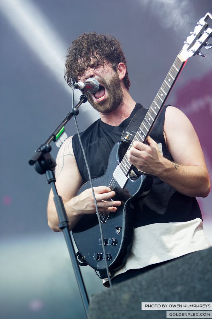 Foals