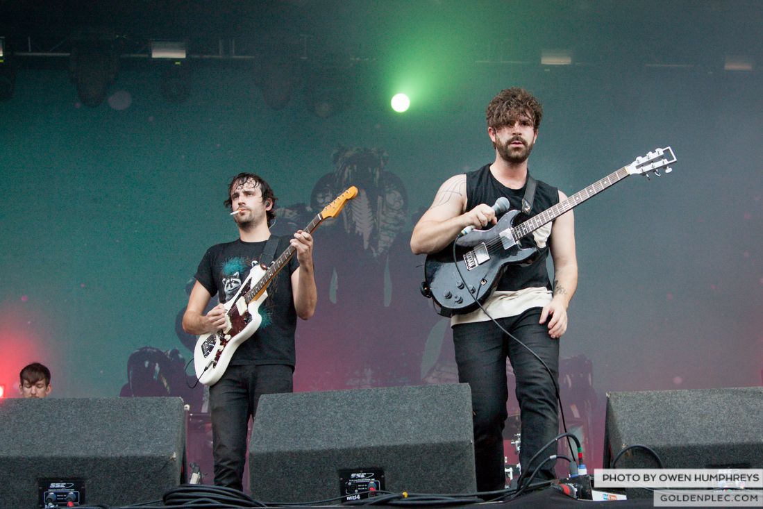 Foals