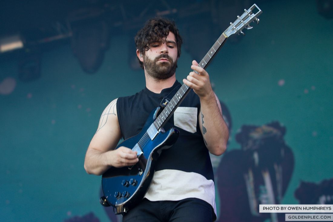 Foals