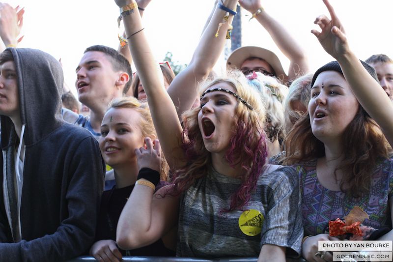 Electric Picnic by Yan Bourke on 30081320