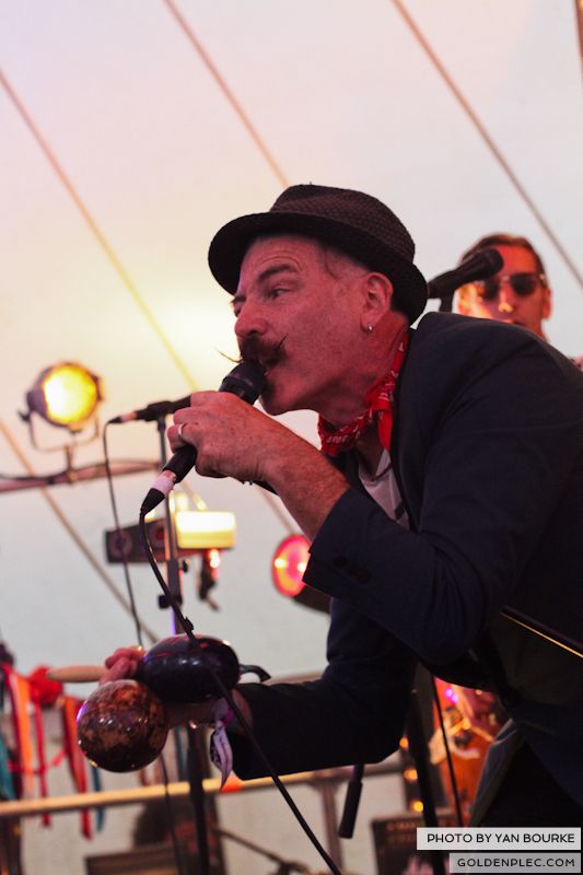 Jerry Fish at Electric Picnic by Yan Bourke on 31081301