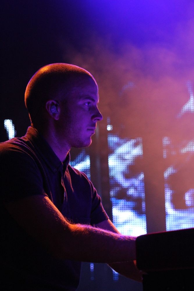 Bonobo supported by Dauwd