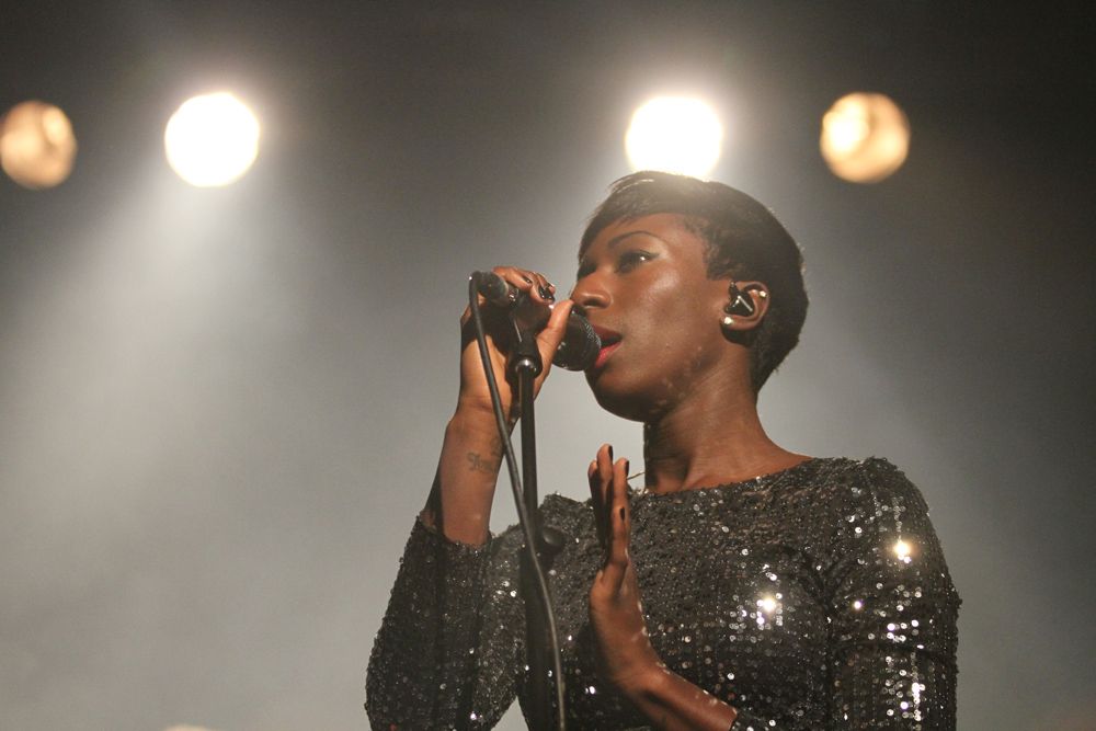 Bonobo supported by Dauwd