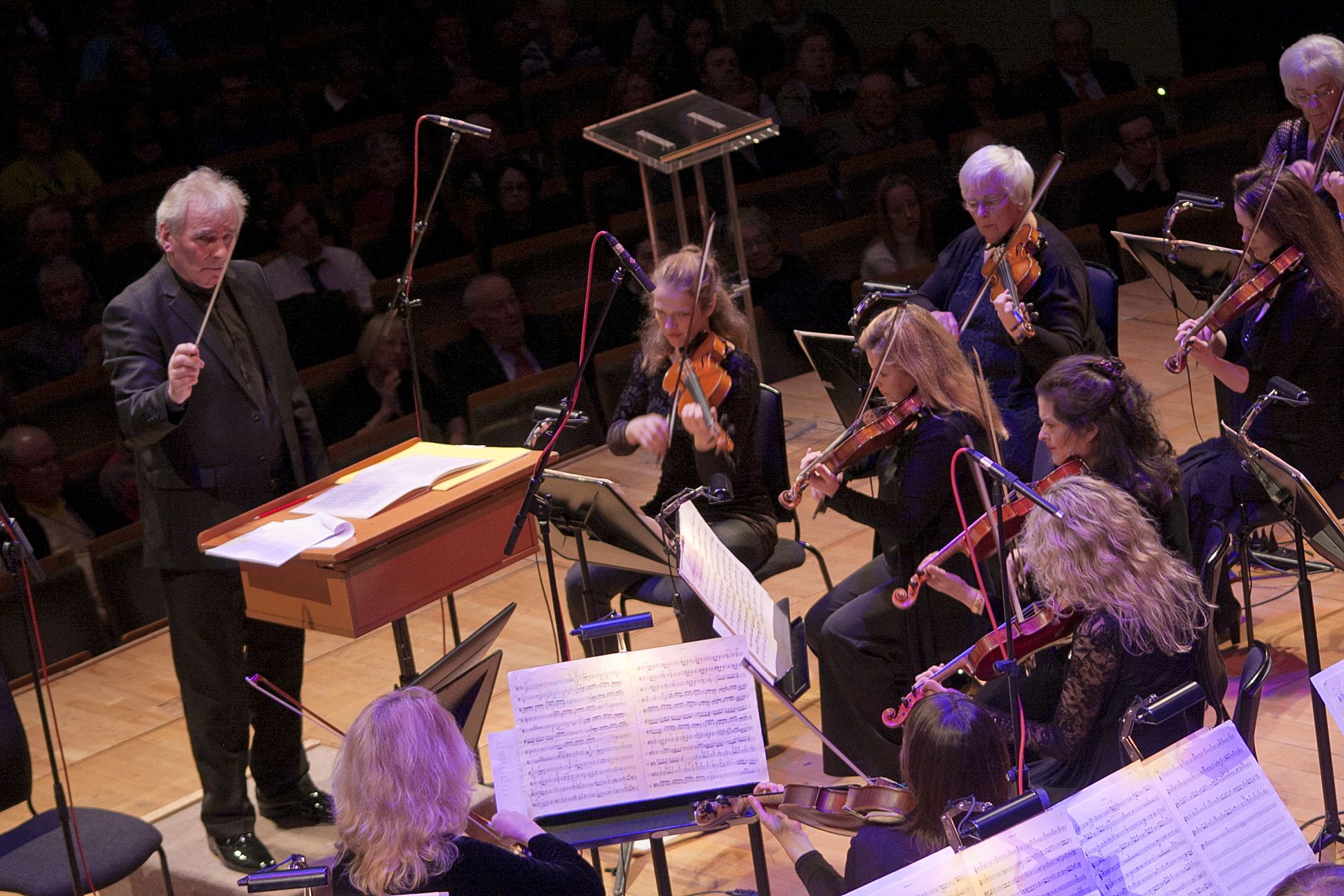 RTE Orchestra @ NCH – Nov 7th (10)