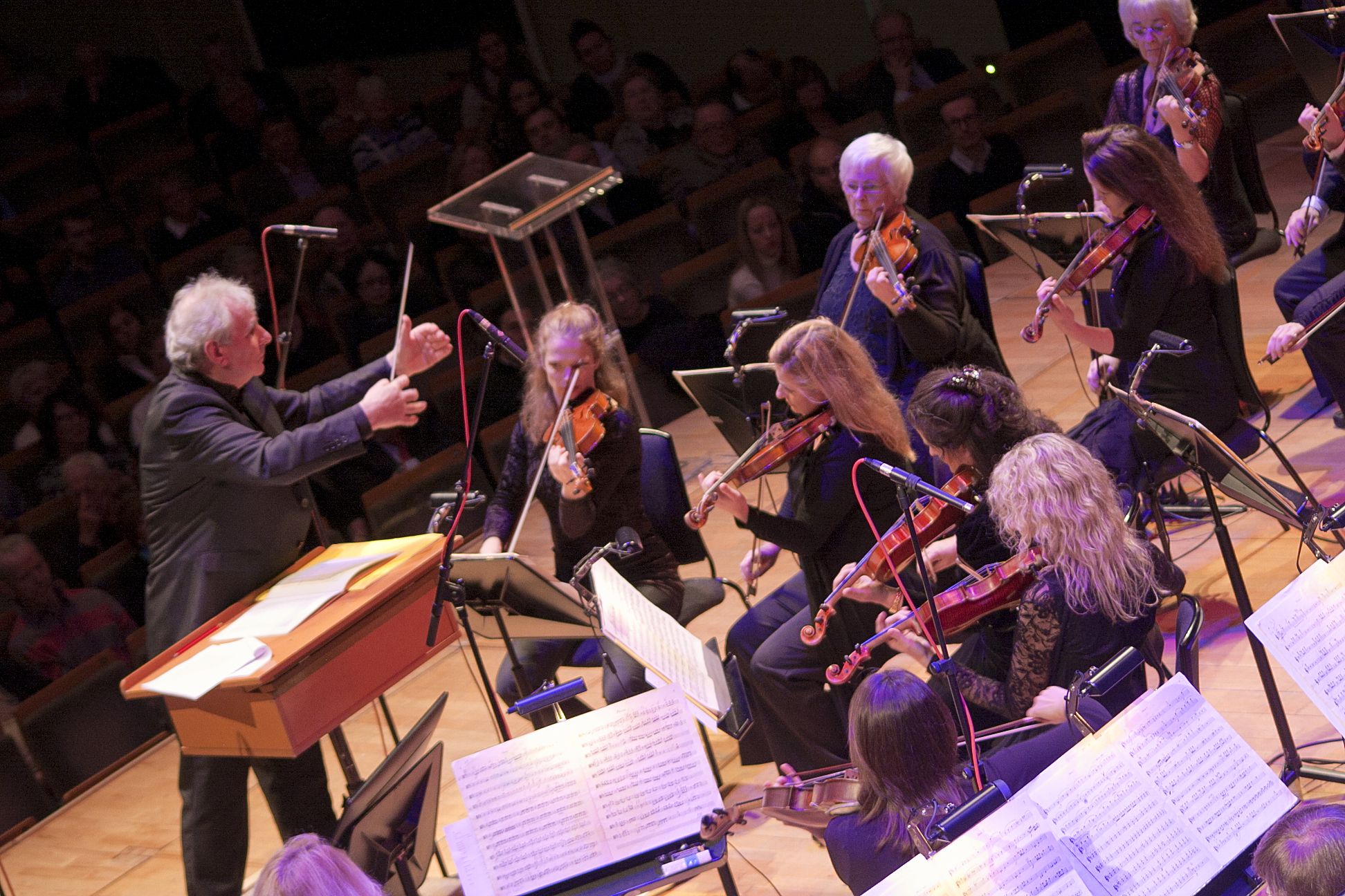 RTE Orchestra @ NCH – Nov 7th (13)