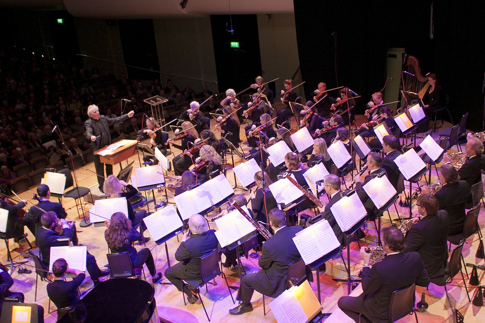 RTE Orchestra @ NCH – Nov 7th (16)