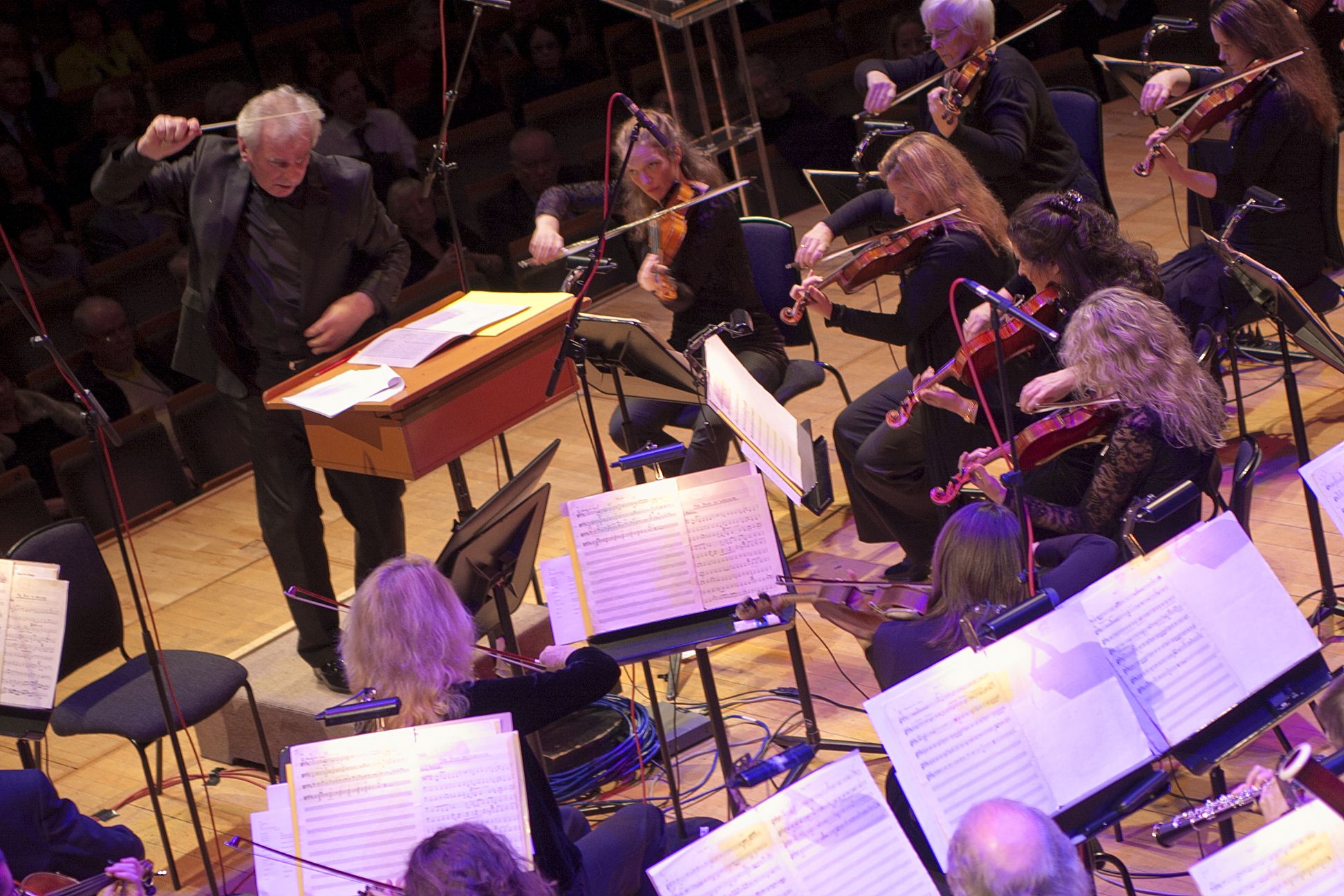 RTE Orchestra @ NCH – Nov 7th (17)