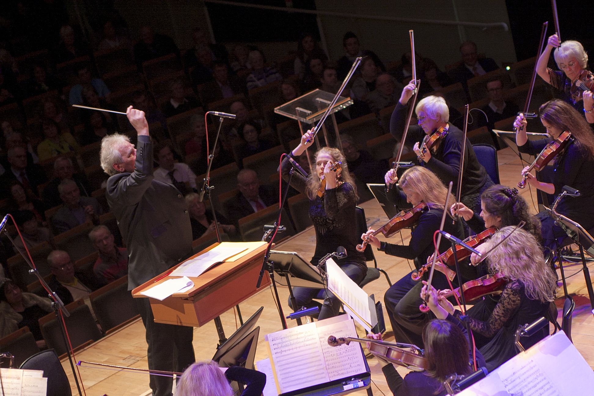 RTE Orchestra @ NCH – Nov 7th (18)
