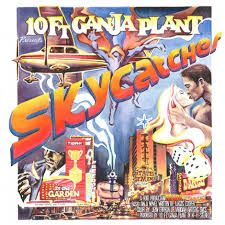 10 Ft Ganja Plant – Skycatcher | Review