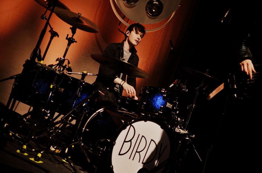 Birdy 08