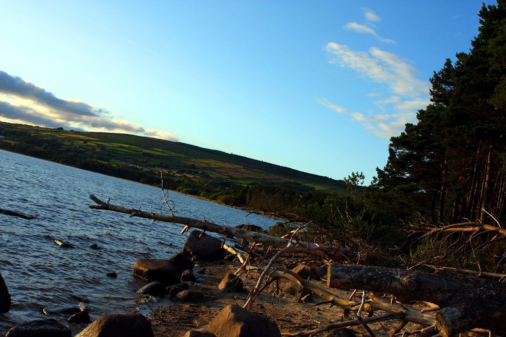 KnockanStockan 2014 by Abe Tarrush (7)