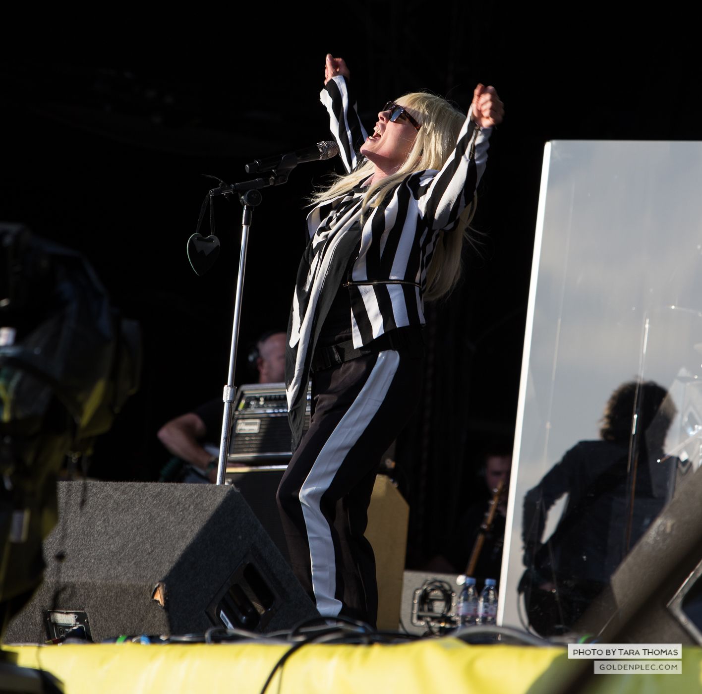 Blondie at Electric Picnic by Tara Thomas