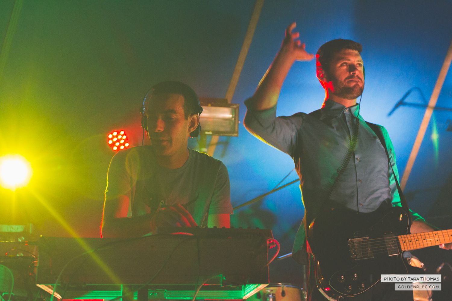DOGS at Castlepalooza by Tara Thomas