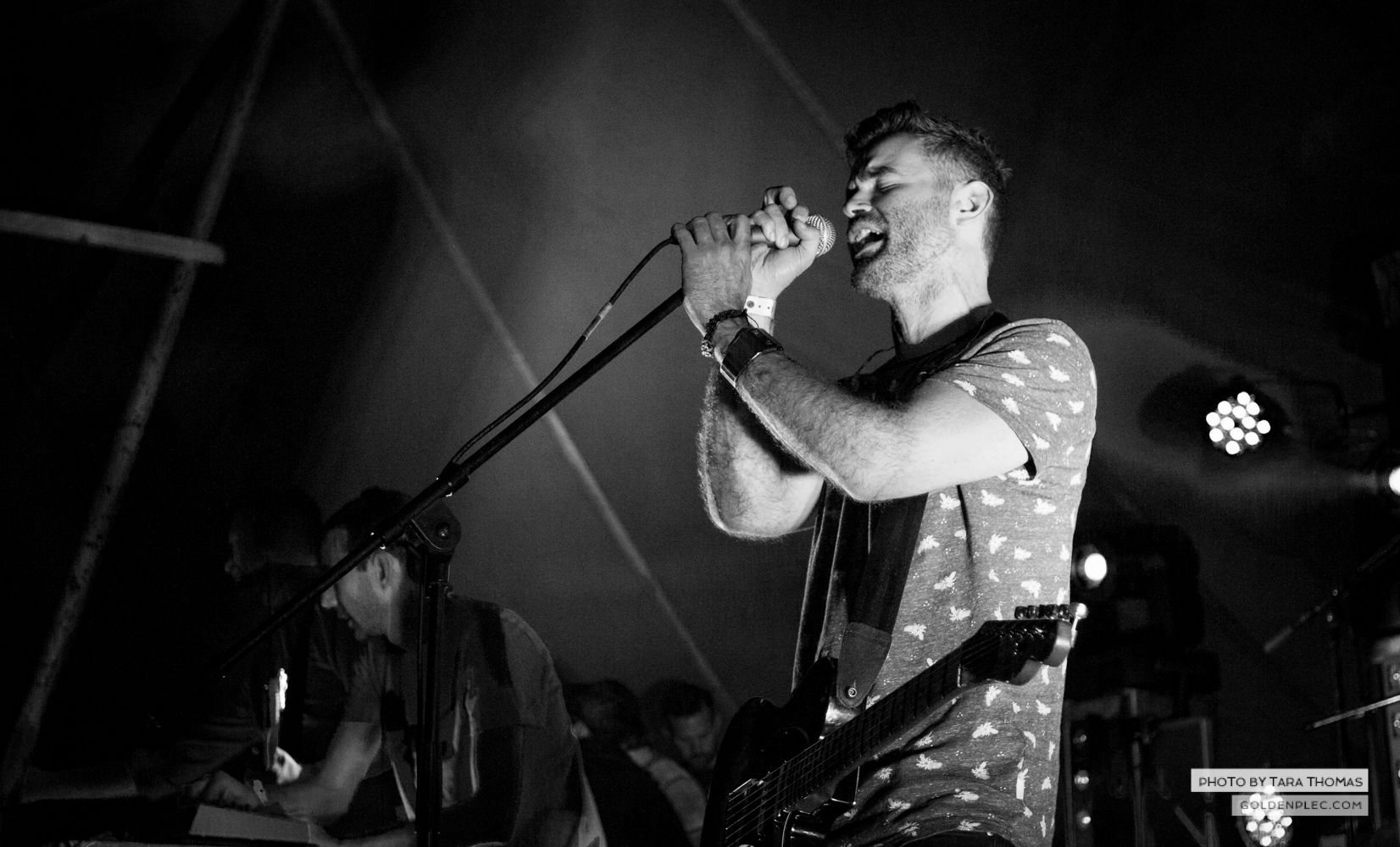 DOGS at Castlepalooza by Tara Thomas