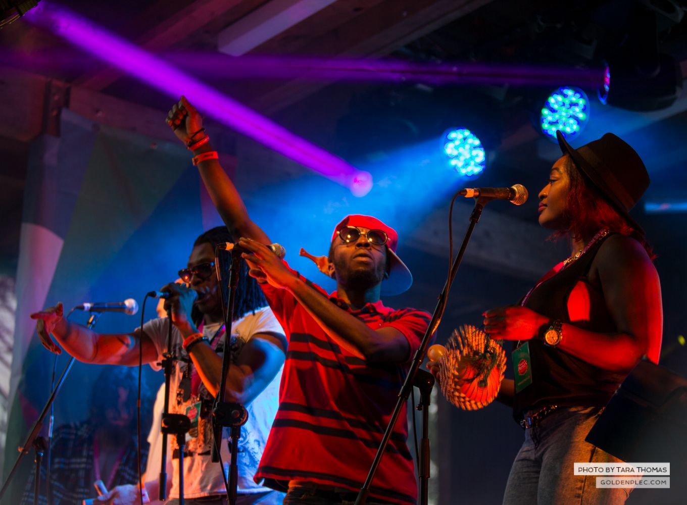 Dublin Afrobeat Ensemble at Castlepalooza by Tara Thomas