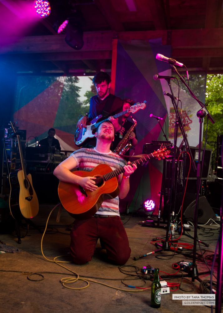 Heroes in Hiding at Castlepalooza by Tara Thomas