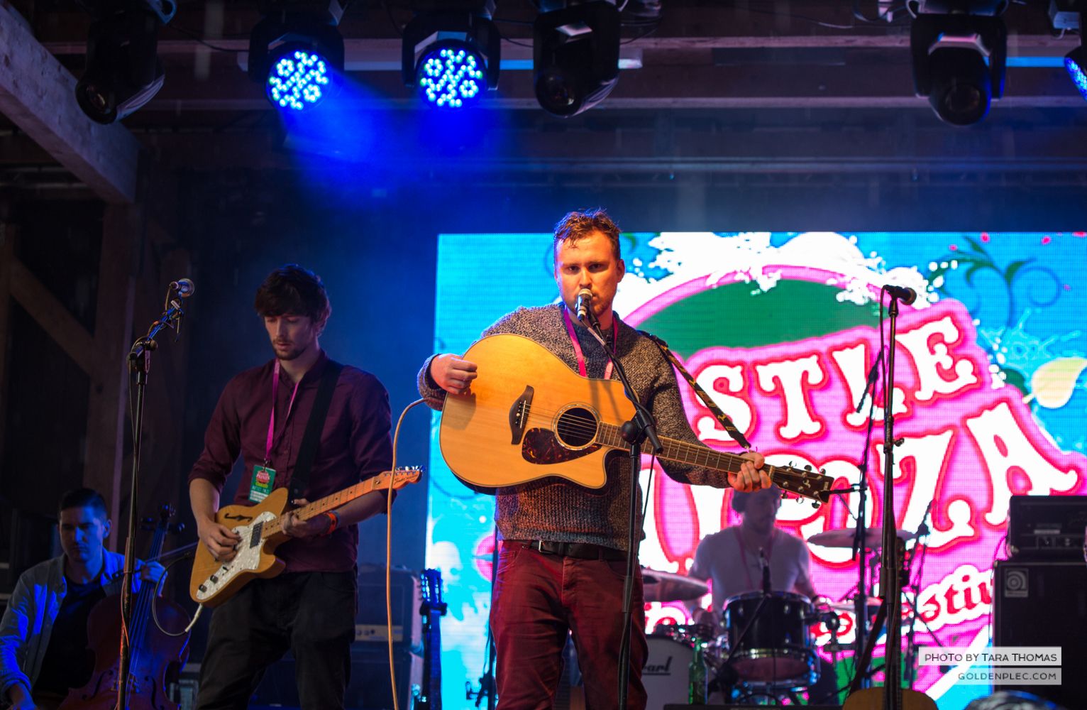 Heroes in Hiding at Castlepalooza by Tara Thomas