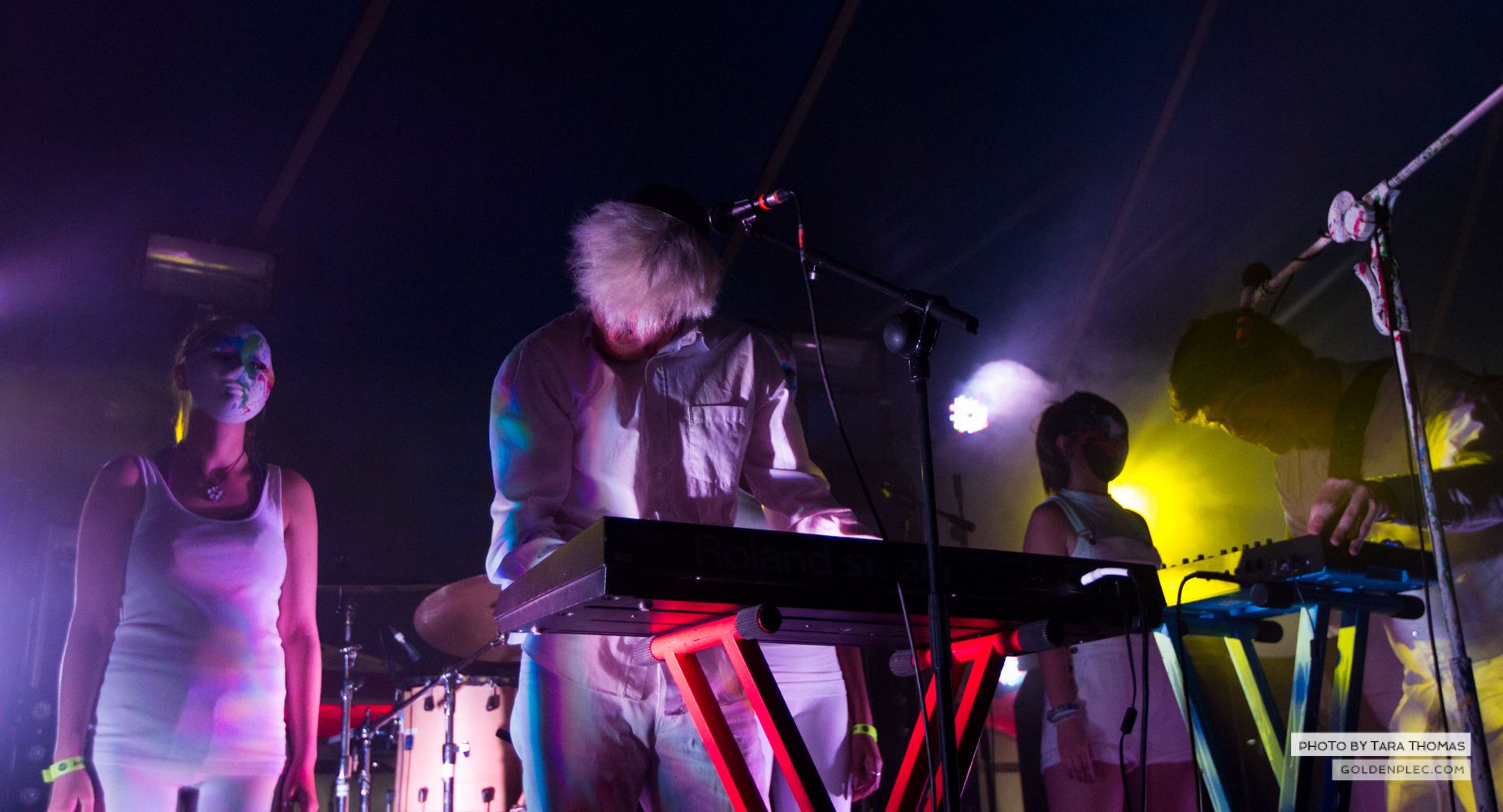 MeltyBrains at Castlepalooza by Tara Thomas