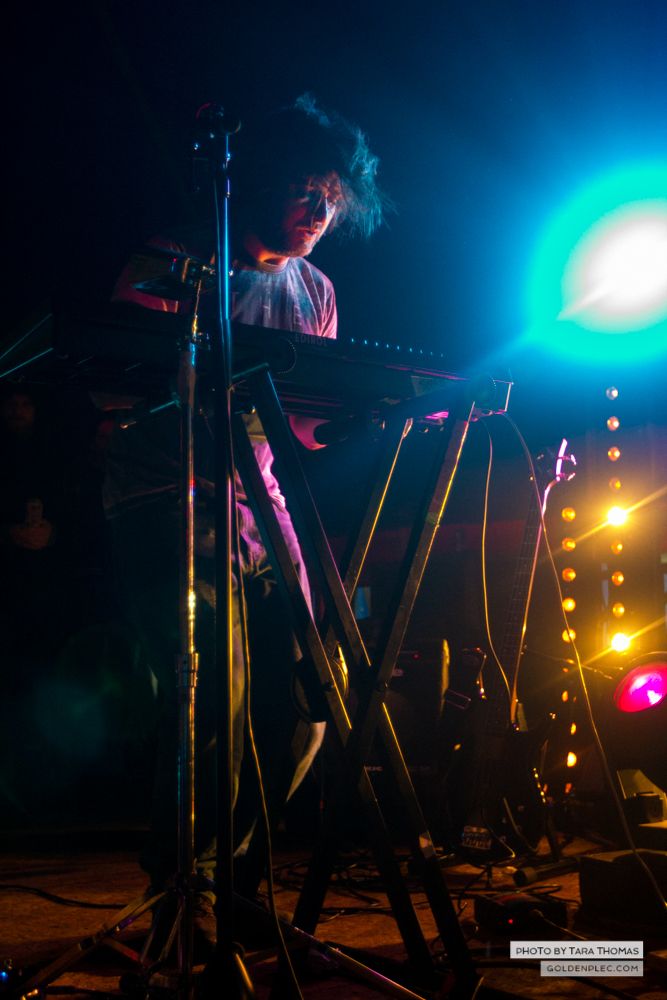 Sounds of the System Breakdown at Castlepalooza by Tara Thomas