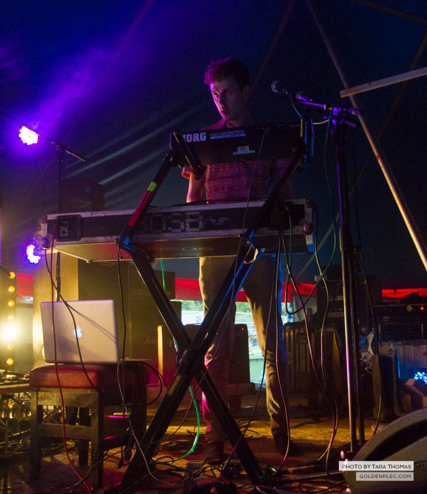 Sounds of the System Breakdown at Castlepalooza by Tara Thomas