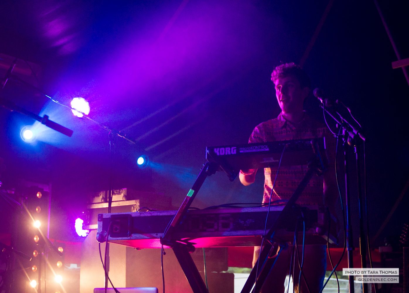 Sounds of the System Breakdown at Castlepalooza by Tara Thomas