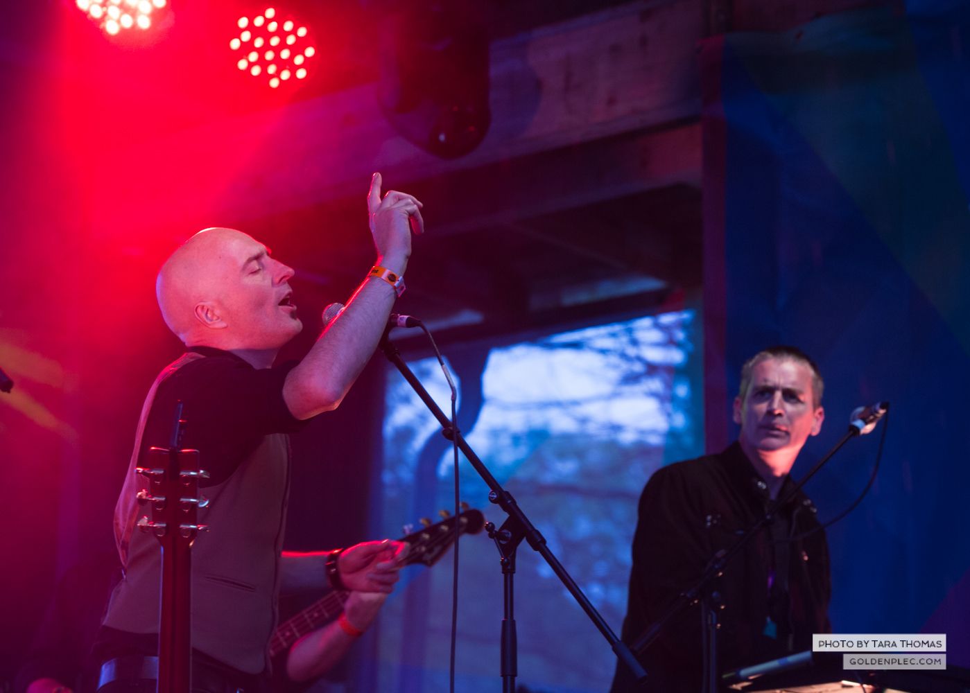 The Pale at Castlepalooza by Tara Thomas