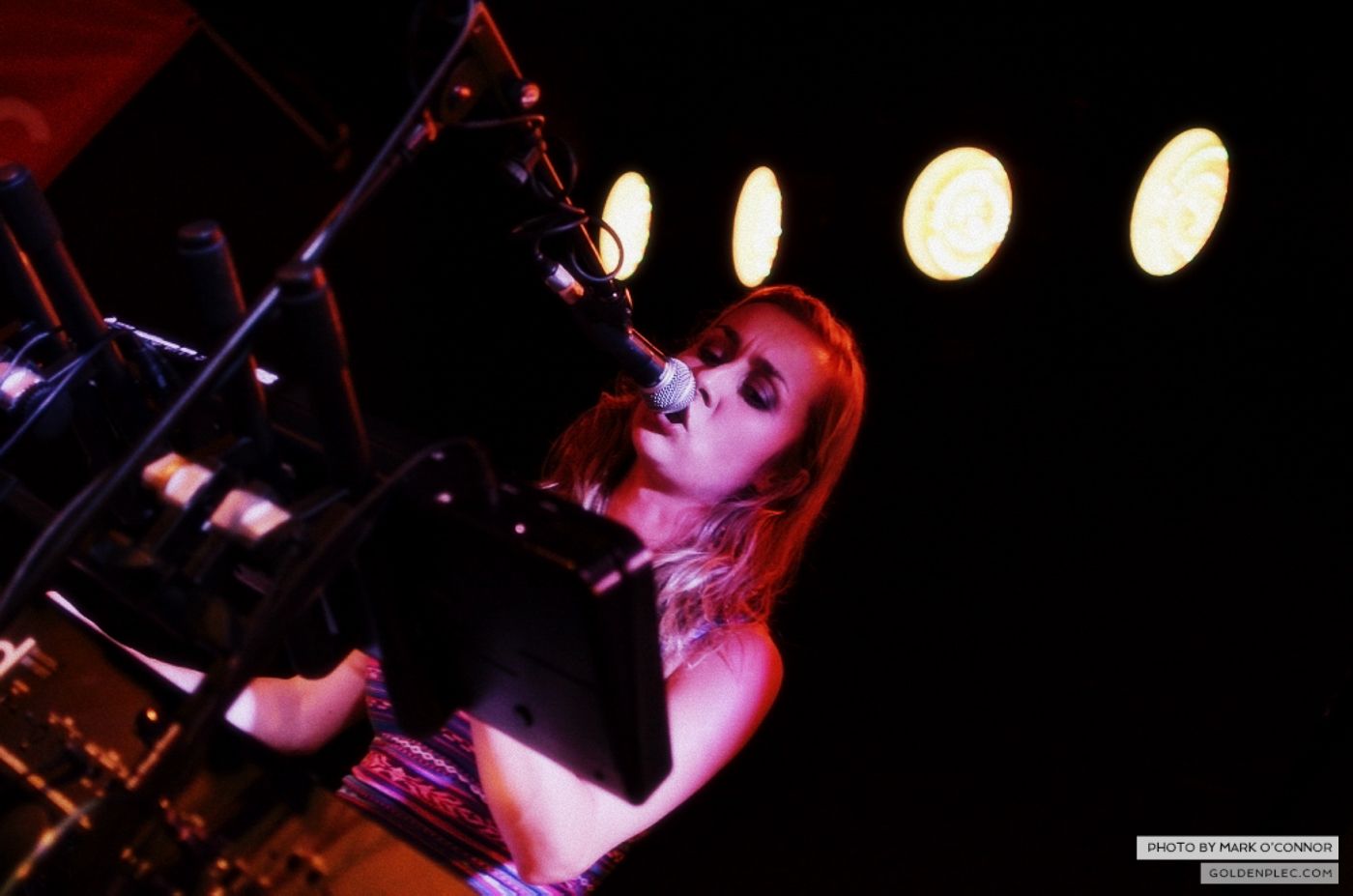 Wyvern Lingo at The Workmans by Mark O’ Connor