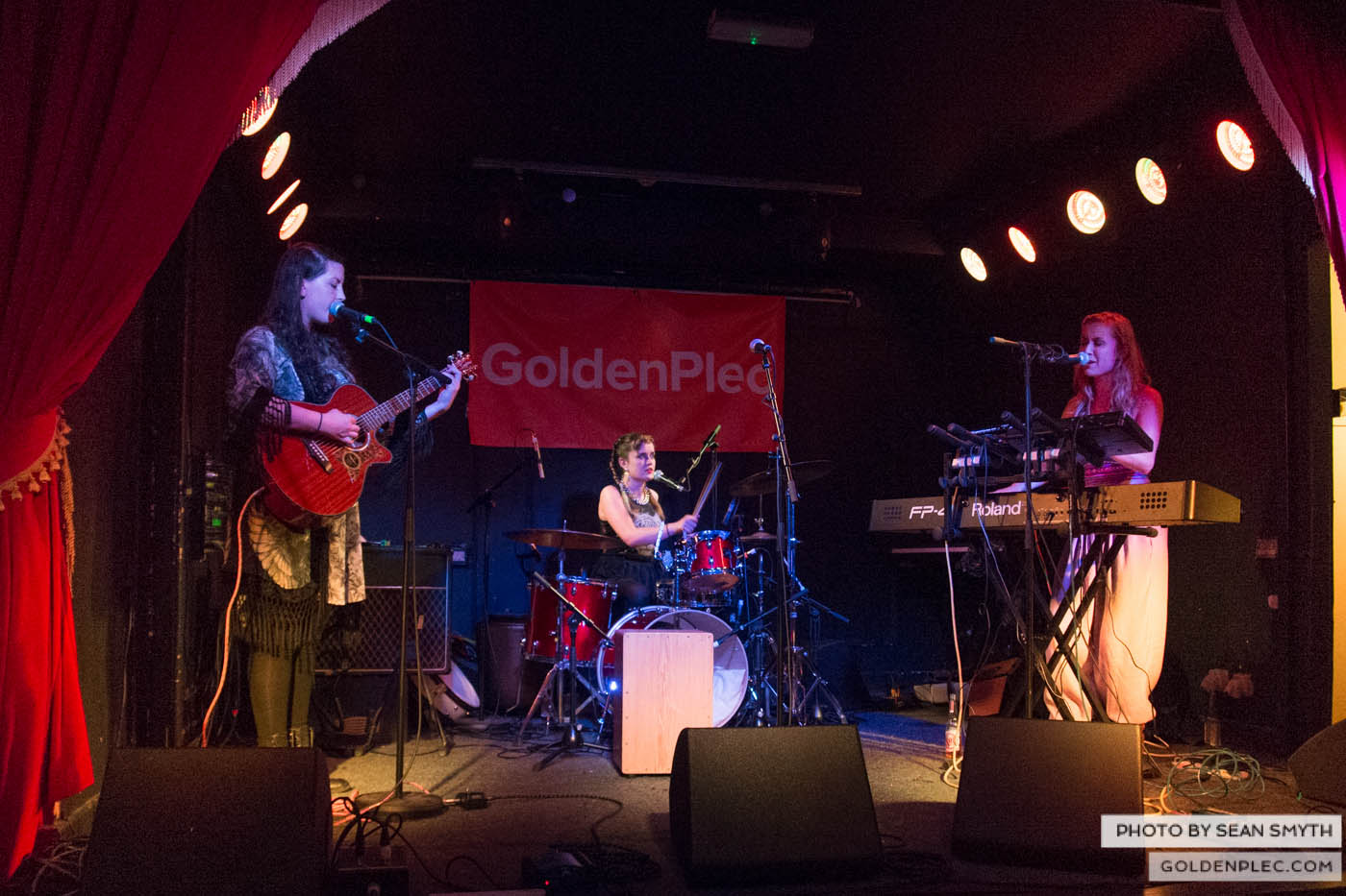 Wyvern Lingo at the The Workman’s by Sean Smyth (14-1-14) (5 of 7)