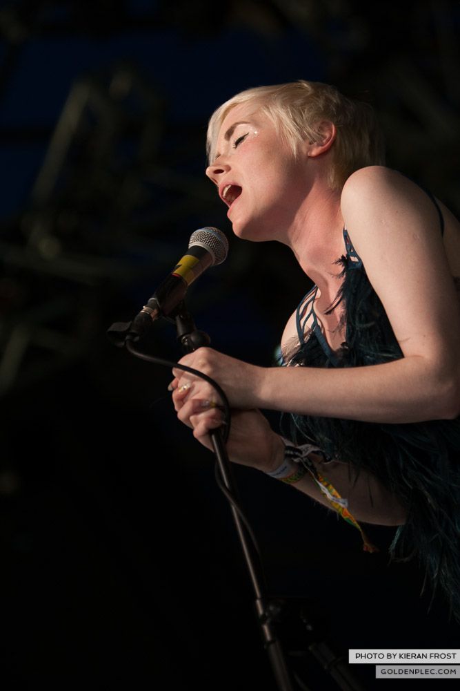 Ham Sandwich at Electric Picnic by Kieran Frost