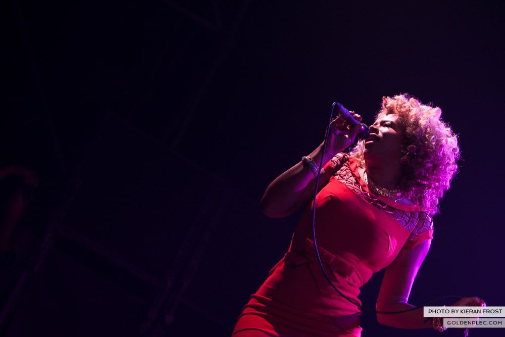 Kelis at Electric Picnic by Kieran Frost