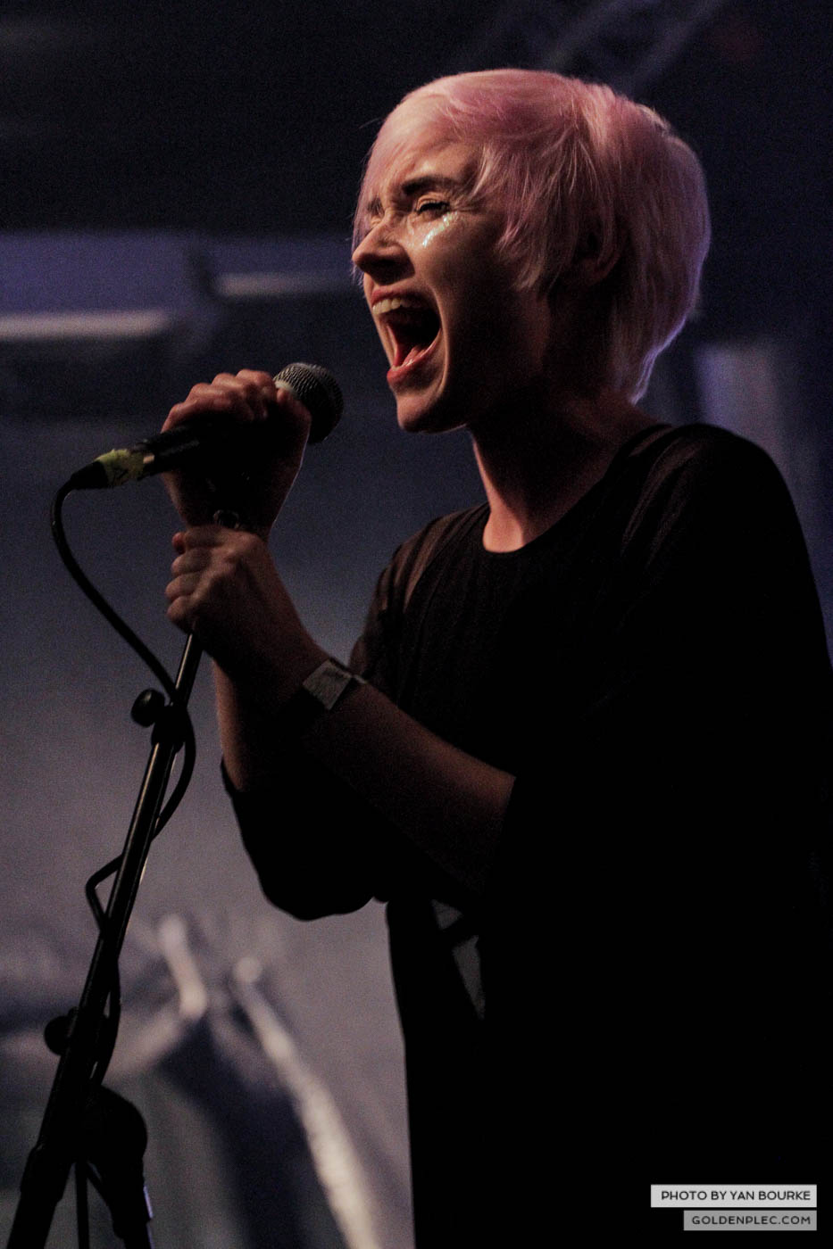 Ham Sandwich at HWCH 2014 by Yan Bourke