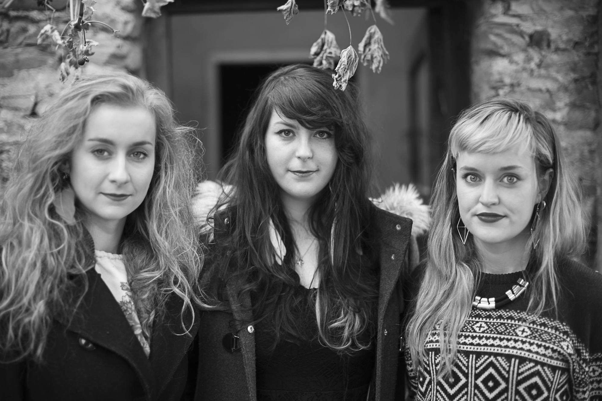 Wyvern Lingo Other voices 2014