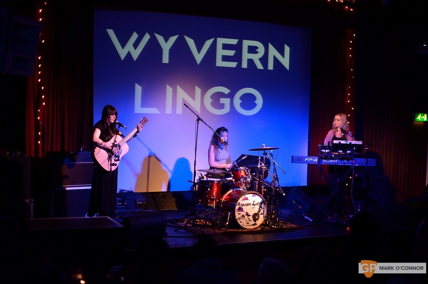 Wyvern Lingo in the Sugar Club by Mark O' Connor (IrishGigImages)