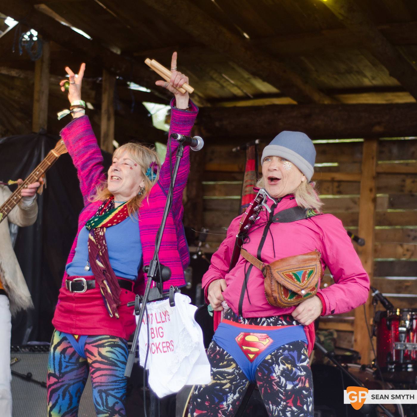 The Twisted Sisters - Saturday at Vantastival by Sean Smyth (1-5-14) (15 of 45)