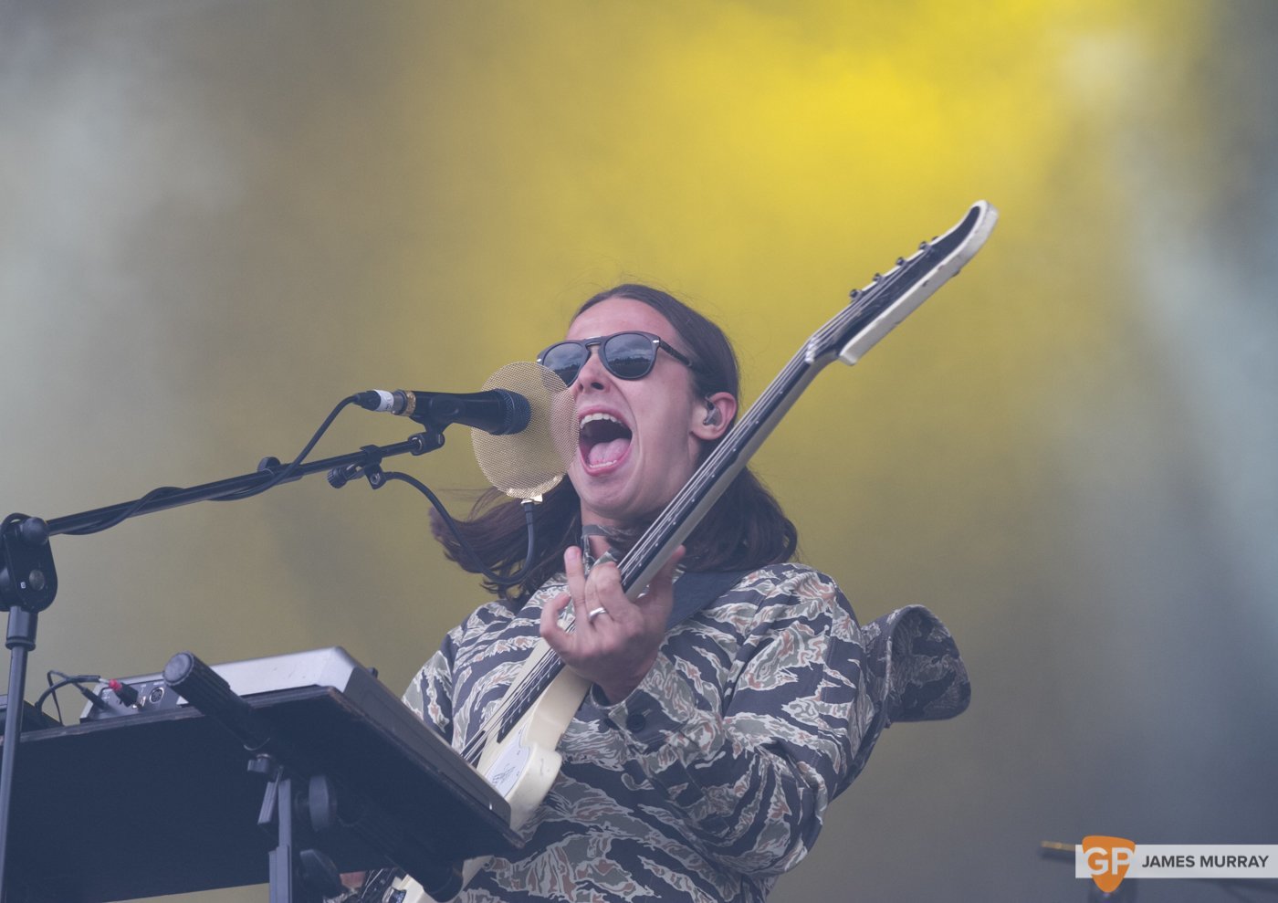 Jungle at Longitude (Saturday) by James Murray