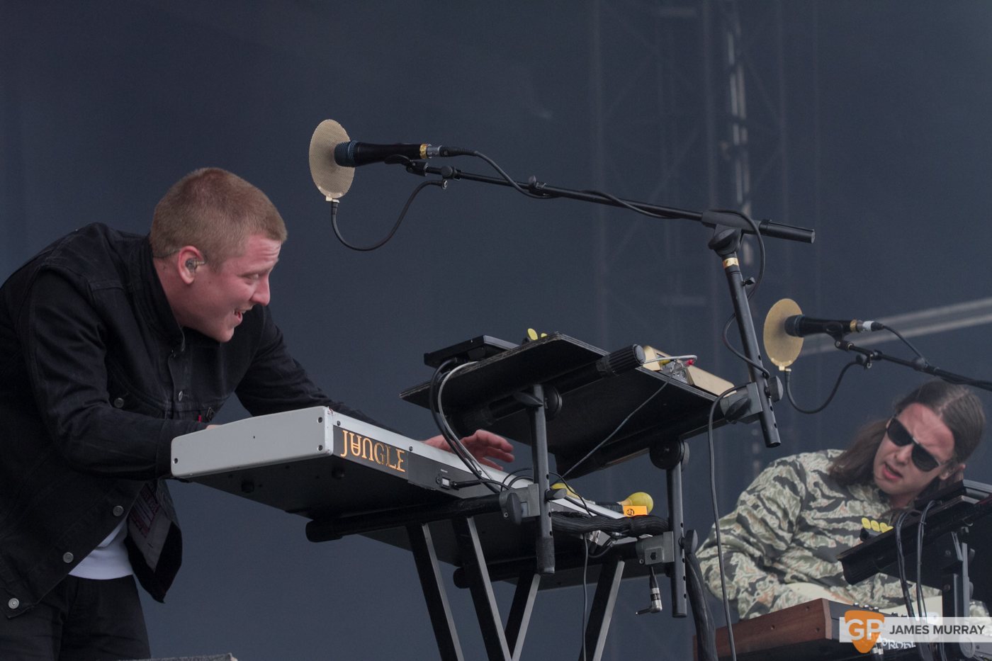 Jungle at Longitude (Saturday) by James Murray