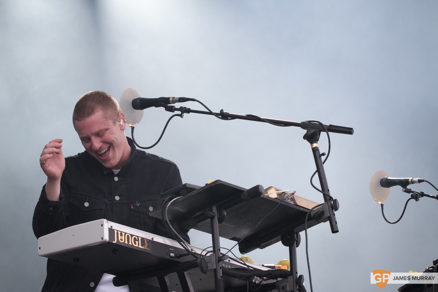 Jungle at Longitude (Saturday) by James Murray